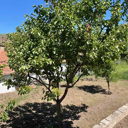 Feriehus Lila's Mikros Prinos